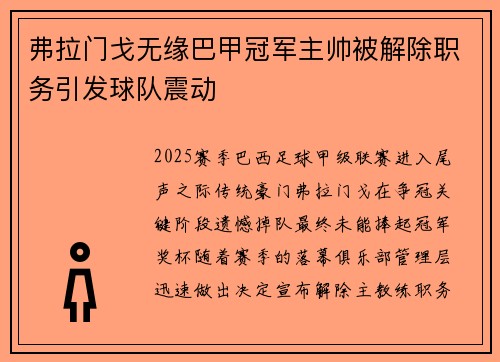 弗拉门戈无缘巴甲冠军主帅被解除职务引发球队震动 弗拉门戈无缘巴甲冠军主帅被解除职务引发球队震动